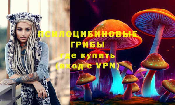 apvp Балабаново